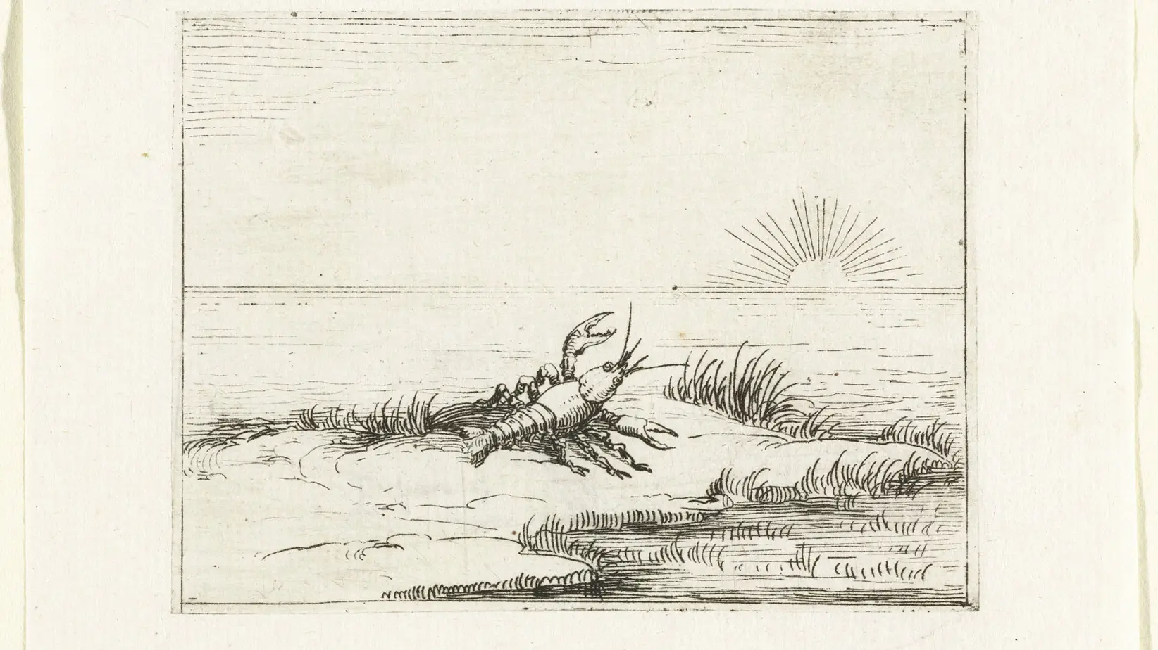 Zeichnung von Jacques Callot, 17. Jahrhundert. Zu sehen ist ein Hummer am Strand, der auf die aufgehende Sonne blickt.