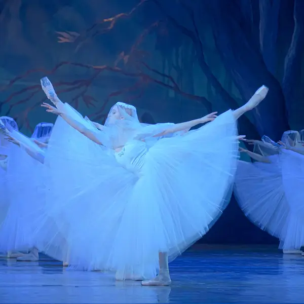 Man sieht viele Balletttänzerinnen auf der Bühne in blauem Licht. Sie tragen weiße Kleider und eine Art weißen, durchsichtigen Schleier über dem Kopf.
