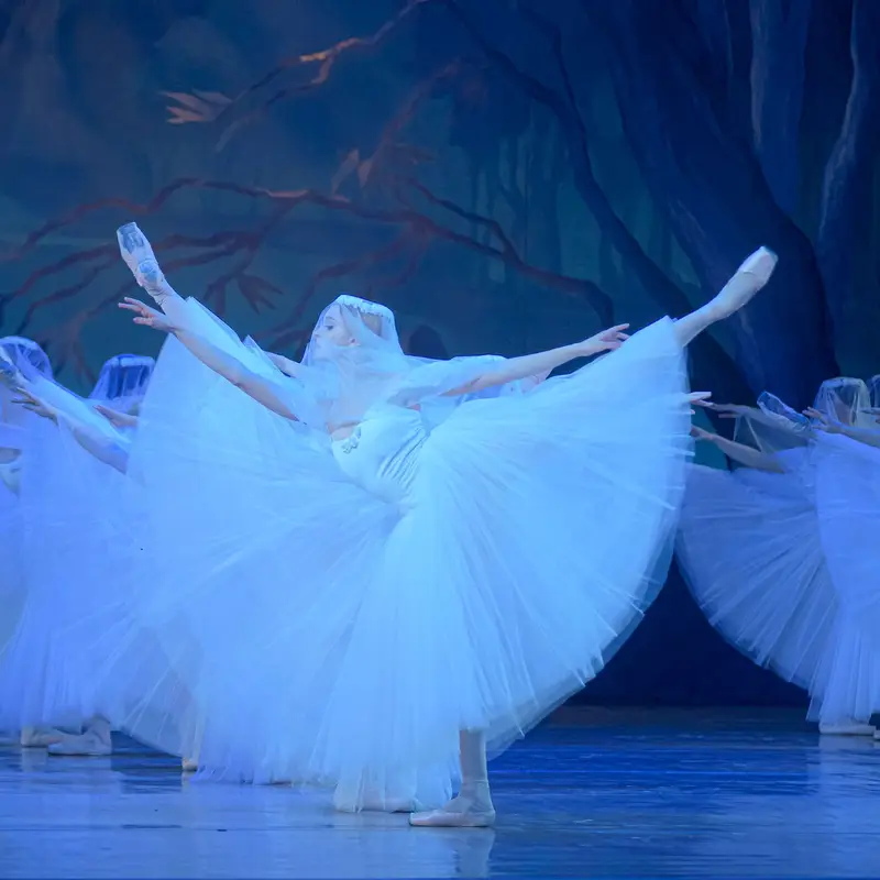 Man sieht viele Balletttänzerinnen auf der Bühne in blauem Licht. Sie tragen weiße Kleider und eine Art weißen, durchsichtigen Schleier über dem Kopf.