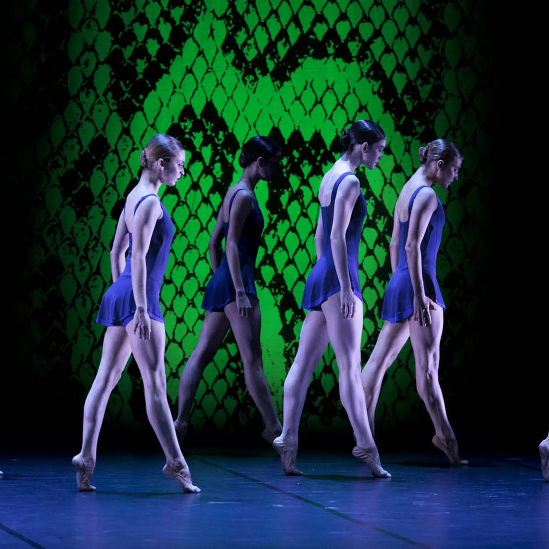 Six femmes vêtues de justaucorps de ballet bleus se tiennent sur la pointe des pieds. Elles regardent vers le bas et ont toutes les cheveux relevés en chignon. Elles se trouvent sur scène et, en arrière-plan, on aperçoit l'image d'une peau de serpent verte.