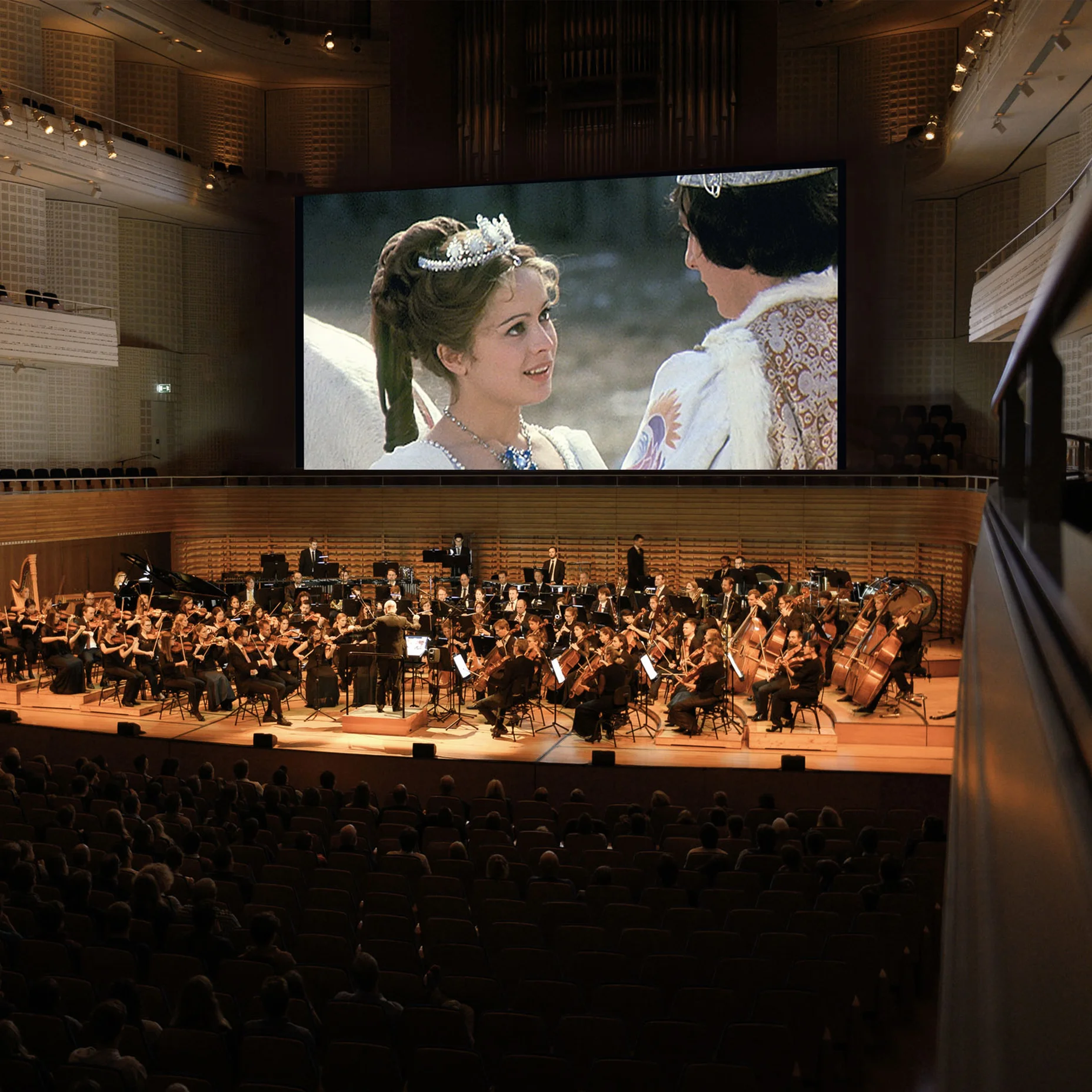 Ein Orchester spielt in einem großen Konzertsaal, während auf einer Leinwand der Film Drei Haselnüsse für Aschenbrödel gezeigt wird. Im Hintergrund sieht man Zuschauer.