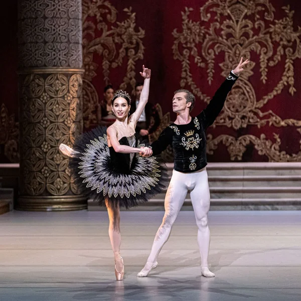 Ein Ballettpaar tanzt anmutig auf einer kunstvoll dekorierten Bühne. Beide tragen klassische Kostüme. Zuschauende beobachten die Darbietung.