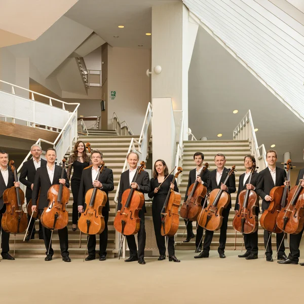 Eine Gruppe von elf eleganten Cellisten posiert in einem modernen Gebäude vor einer Treppe, ihre Instrumente festhaltend.
