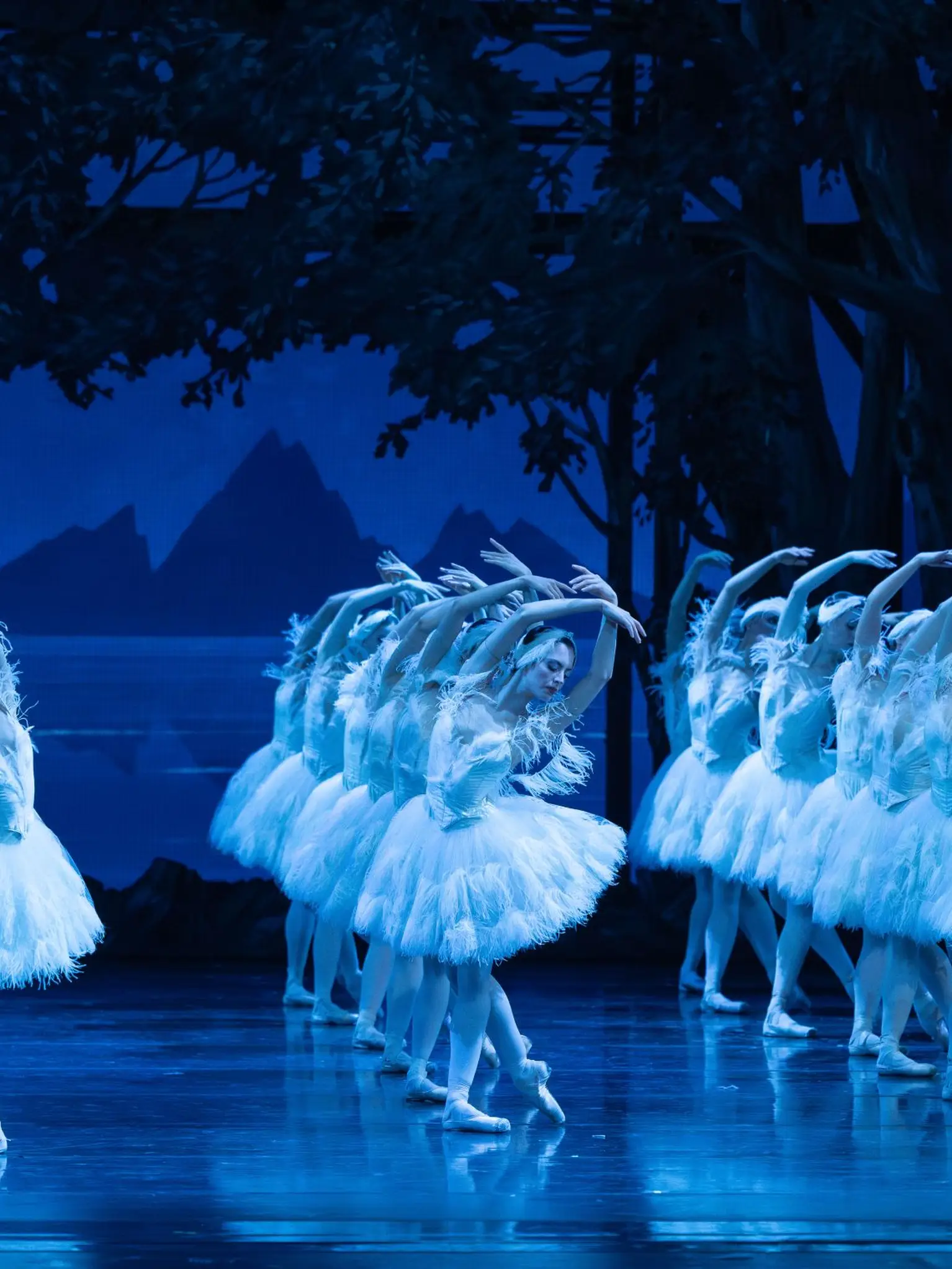 Eine Ballettgruppe in weißen Tutus tanzt synchron auf einer blauen, beleuchteten Bühne, umgeben von einer Waldkulisse. Eleganz und Präzision.