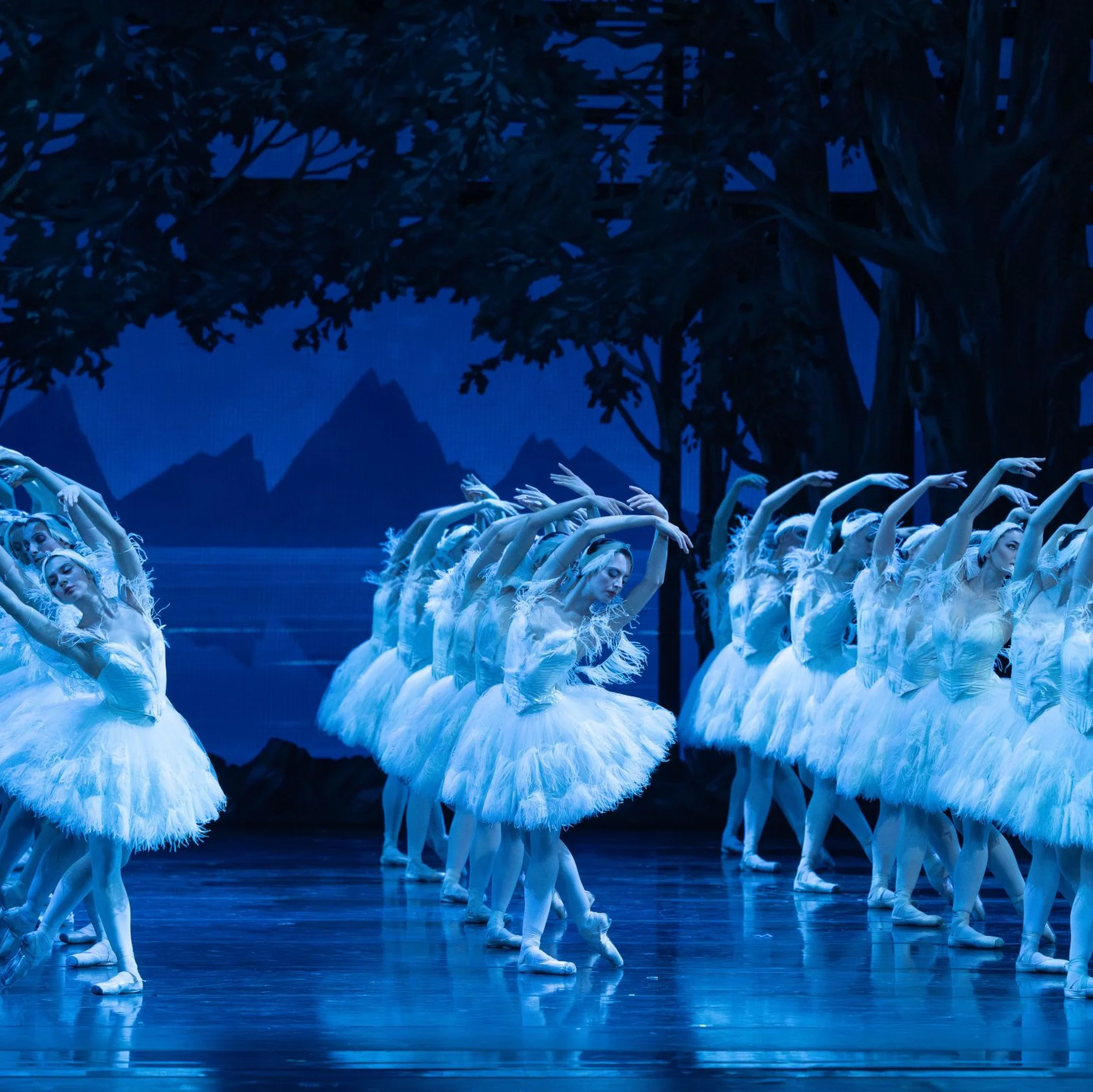 Eine Ballettgruppe in weißen Tutus tanzt synchron auf einer blauen, beleuchteten Bühne, umgeben von einer Waldkulisse. Eleganz und Präzision.