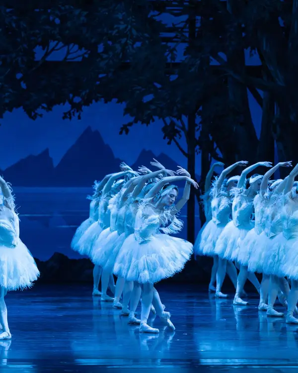 Eine Ballettgruppe in weißen Tutus tanzt synchron auf einer blauen, beleuchteten Bühne, umgeben von einer Waldkulisse. Eleganz und Präzision.
