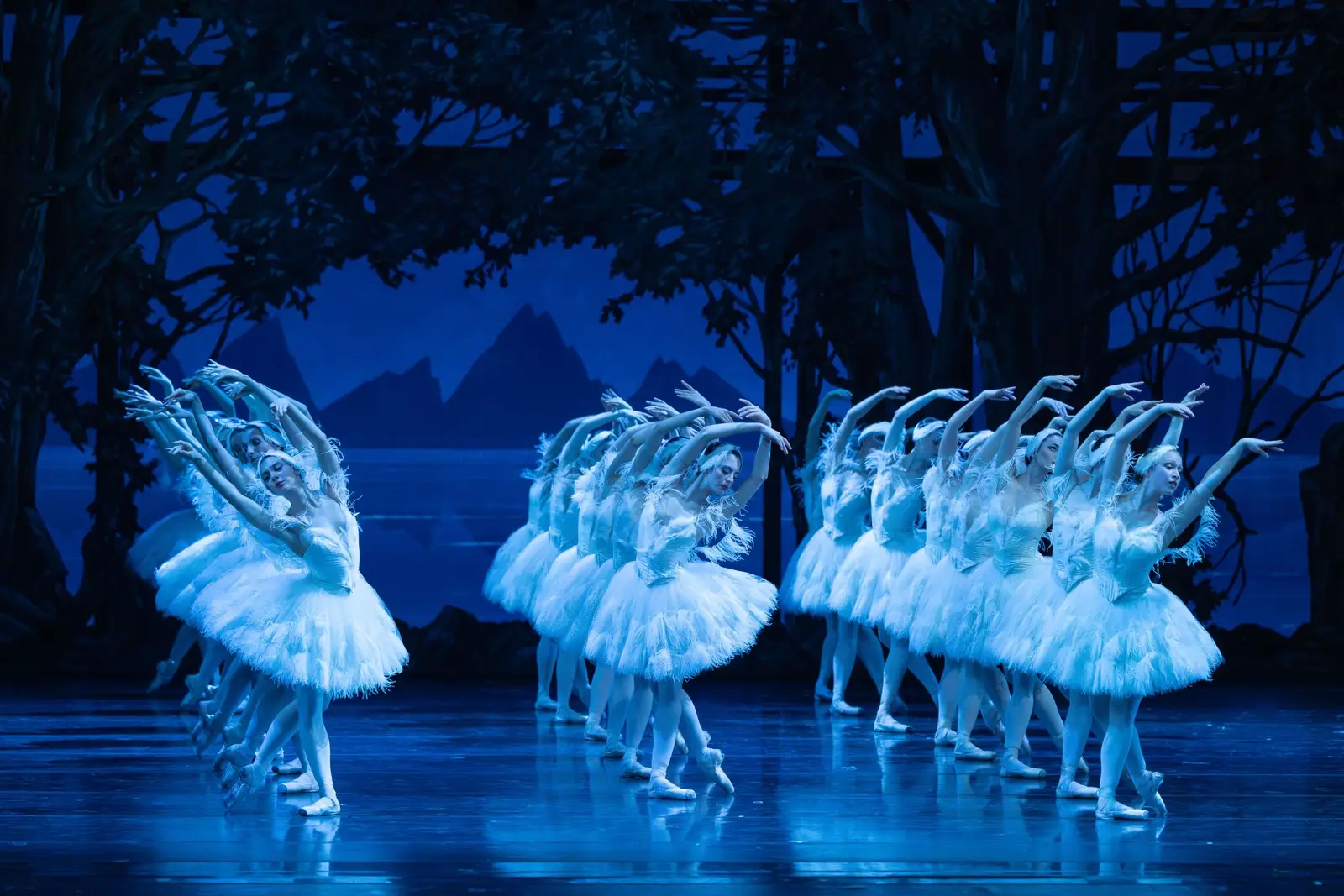 Un groupe de ballet en tutus blancs danse à l'unisson sur une scène éclairée en bleu avec une toile de fond forestière. Élégance et précision.