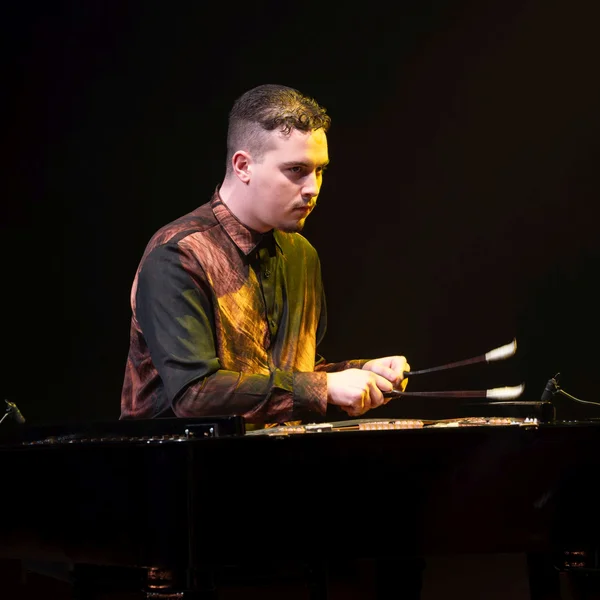Áron Horváth intently plays a vibraphone on a dimly lit stage. He is wearing a striped shirt.