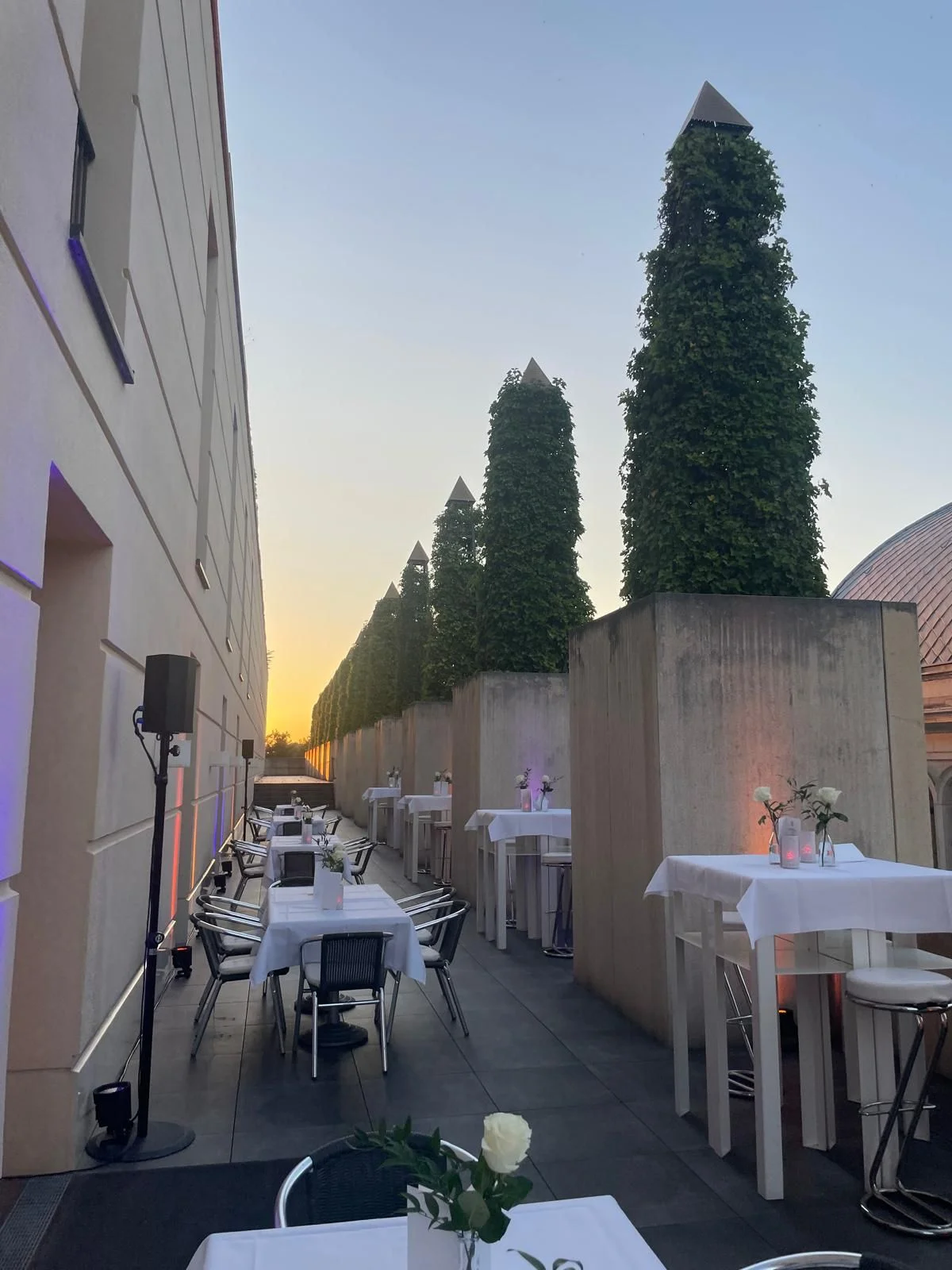 Eine elegante Terrasse mit weißen Tischen und Stühlen, flankiert von hohen Hecken bei Sonnenuntergang.