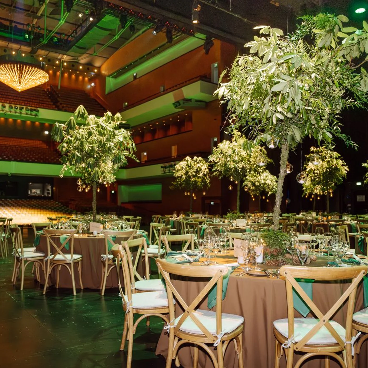 Ein eleganter Festsaal mit runden Tischen, Holzstühlen und großen Pflanzen als Mittelstücke. Warmes Licht schafft eine festliche Atmosphäre.
