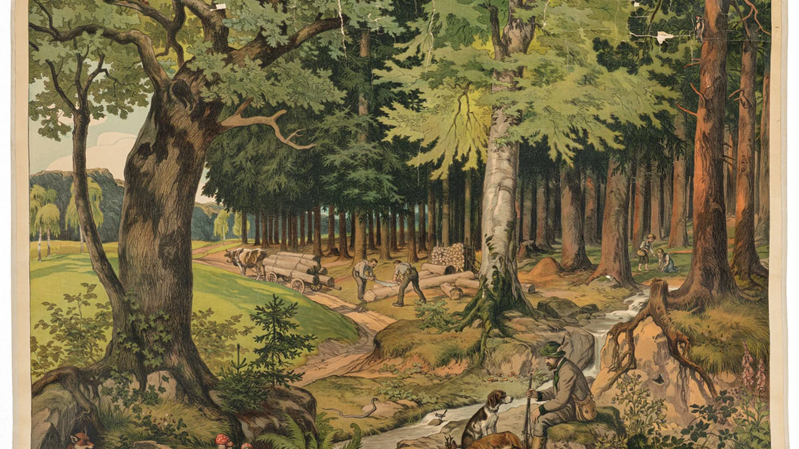 Der Fuchs hat noch mal Glück gehabt: Das Schulwandbild „Wald“ fasst schön zusammen, was einem so in den Sinn kommt, wenn das Horn tönt.